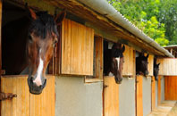 free Bevendean stable construction quotes